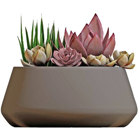 Avera Products 8 in. D Cement Planter Multicolored AFC003080